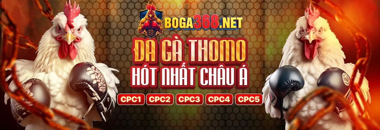 Các chương trình khuyến mãi J88DL
